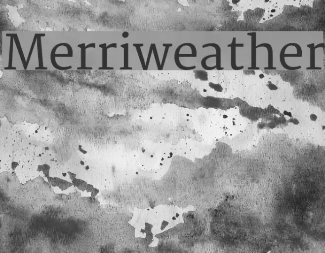 Merriweather Font examples