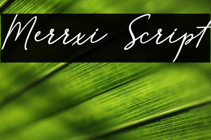 Merrxi Script Example 1