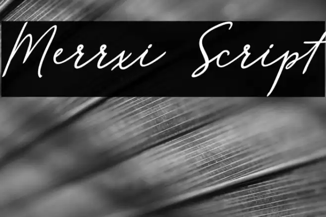 Merrxi Script Font examples