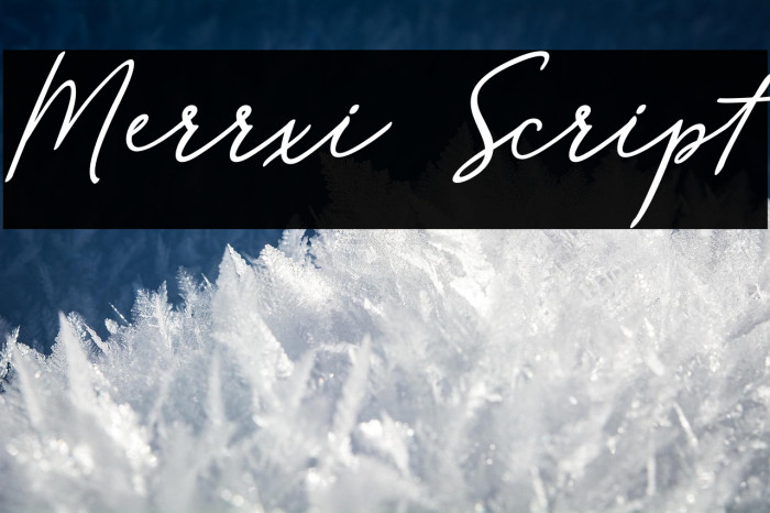Merrxi Script Example 3