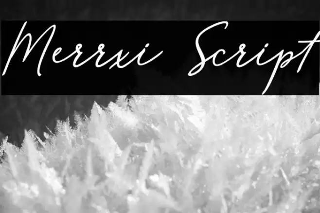 Merrxi Script Font examples