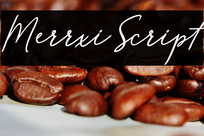 MerrxiScript Example 1