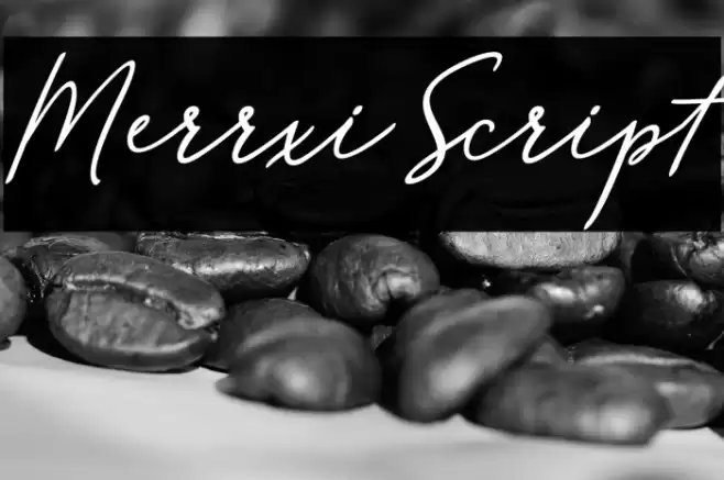 MerrxiScript Font examples