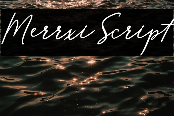 MerrxiScript Example 3
