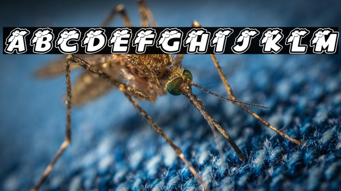 Merry Christmas Italic Example 1