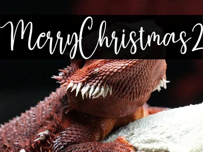 Merry Christmas2 Example 2