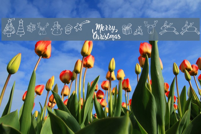 Merry Christmas Example 2