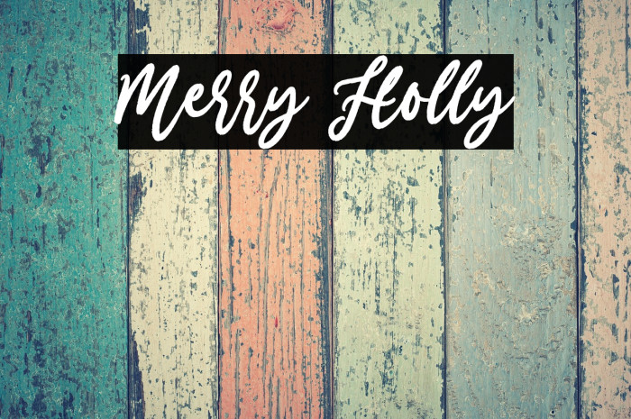 Merry Holly Example 2