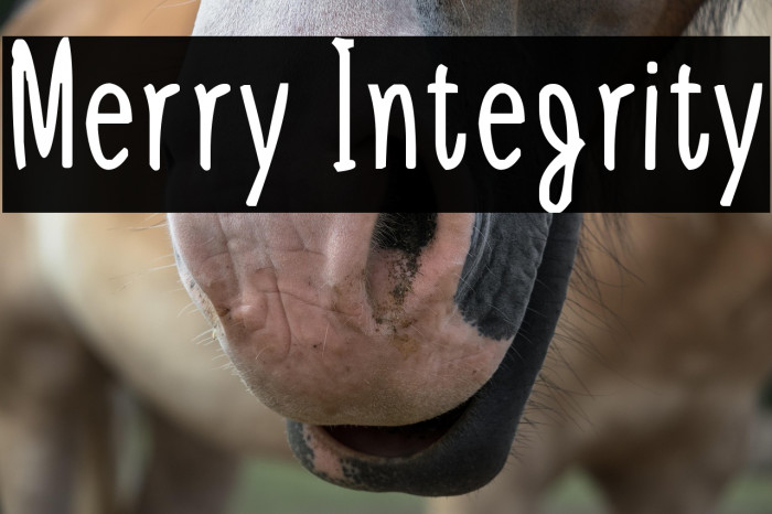 Merry Integrity Example 3