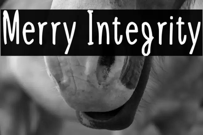 Merry Integrity Font examples