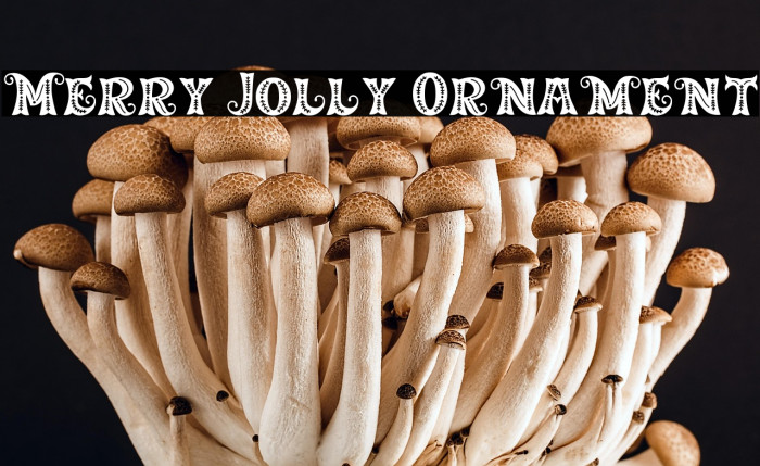 Merry Jolly Ornament Example 3