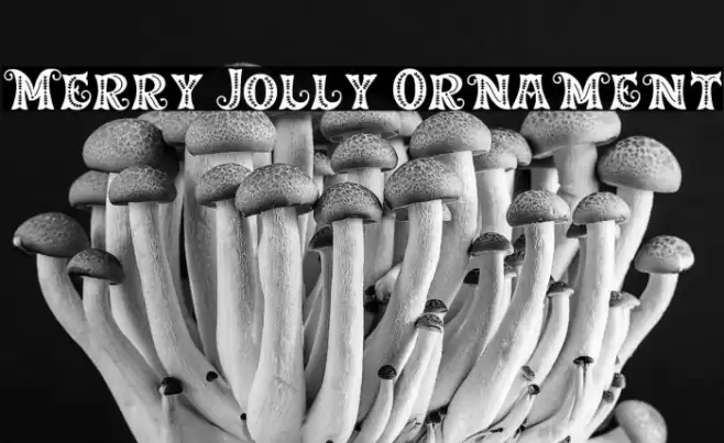 Merry Jolly Ornament Caratteri examples
