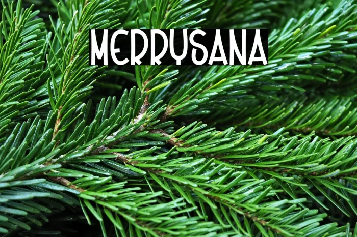 Merry Santa Example 2