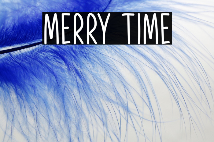 Merry Time Example 3