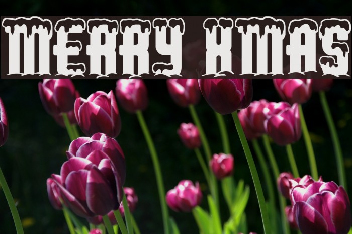 Merry Xmas Font examples