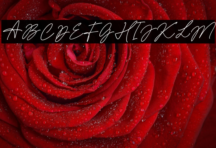 MerryBrookdemo Example 2