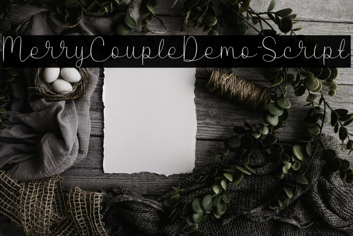 MerryCoupleDemo-Script Example 1