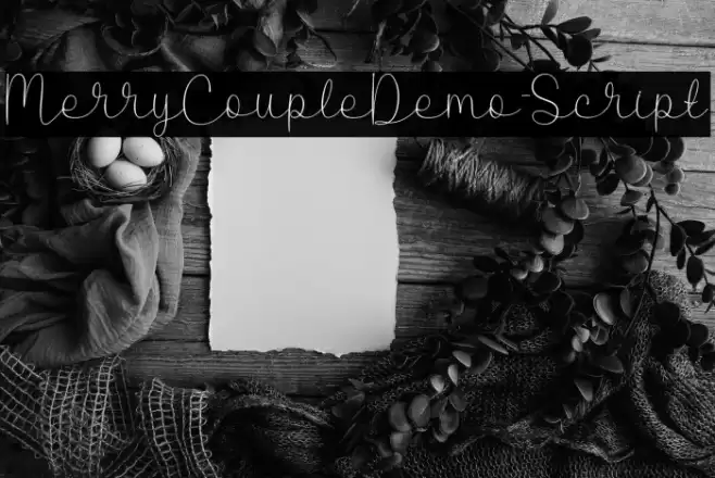 MerryCoupleDemo-Script Schriftart examples