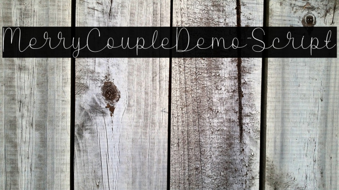 MerryCoupleDemo-Script Example 3