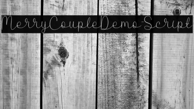 MerryCoupleDemo-Script Schriftart examples