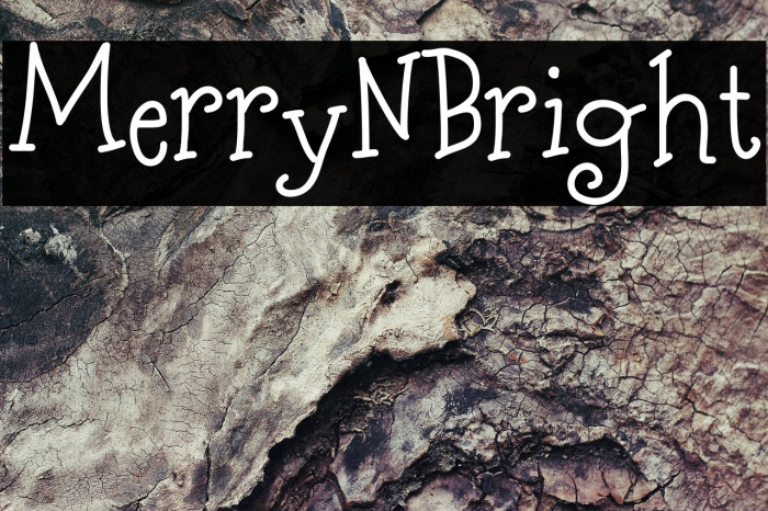 MerryNBright Example 3