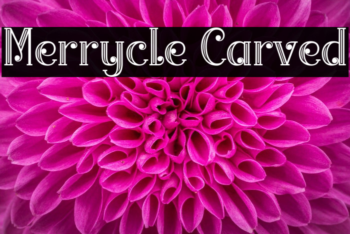 Merrycle Carved Font examples