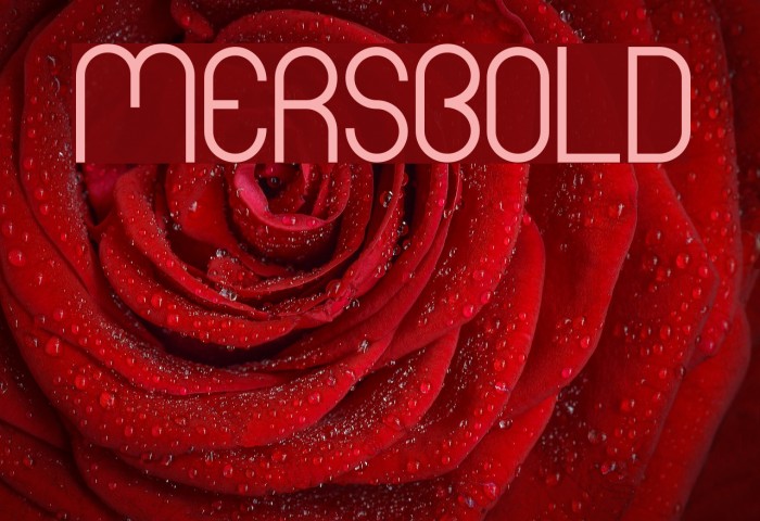 Mers Bold Font examples