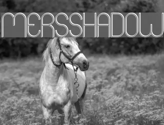 Mers Shadow Font examples