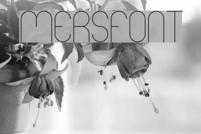 Mers Font examples