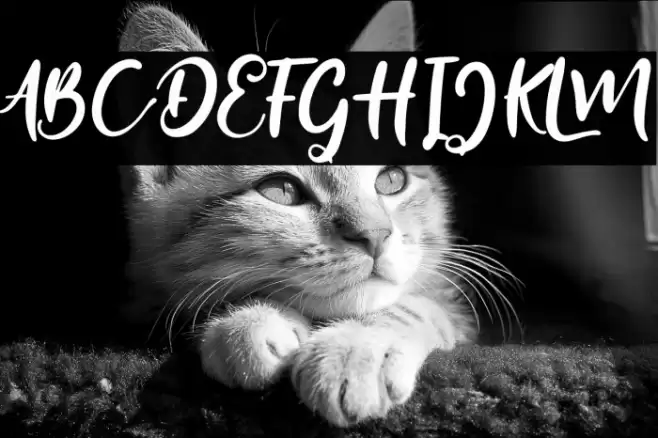 Mersella फ़ॉन्ट examples