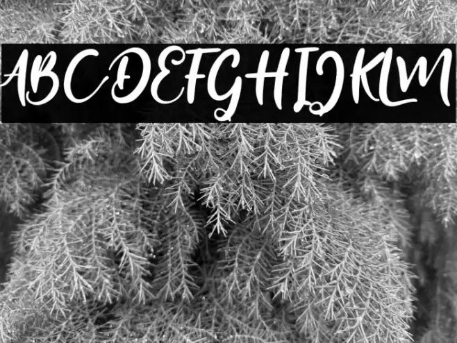 Mersella फ़ॉन्ट examples