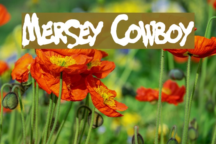 Mersey Cowboy Font examples