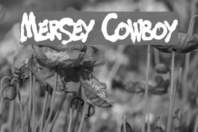 Mersey Cowboy Example 1