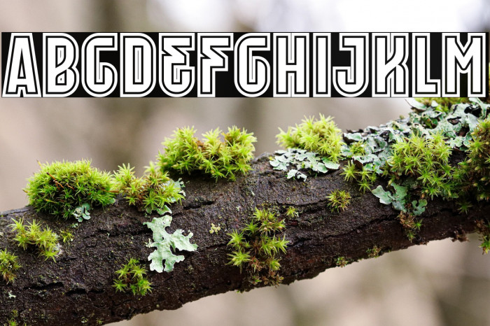 Merseyside Red SS 3 Example 1