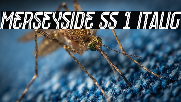 Merseyside SS 1 Italic Example 1