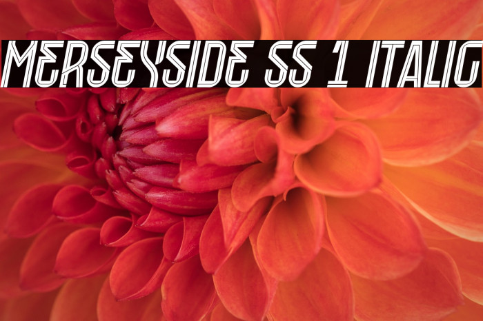 Merseyside SS 1 Italic Example 3