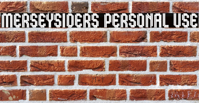 Merseysiders Personal Use Example 2