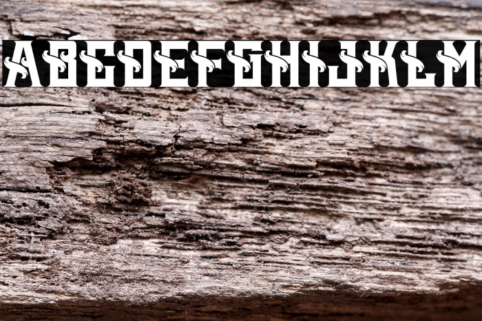 Mertalion Personal Use Example 2