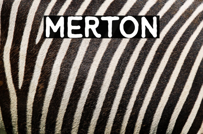 Merton Example 2