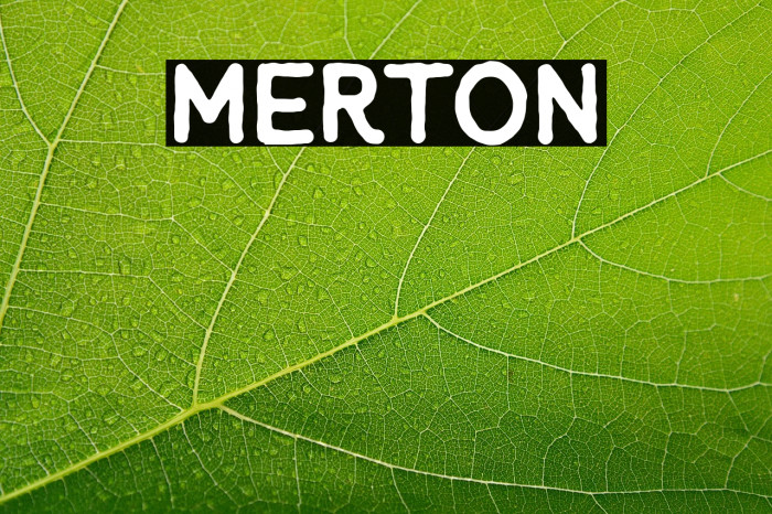 Merton Example 3