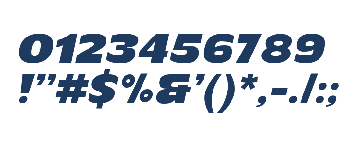 Mertune Italic Other Characters