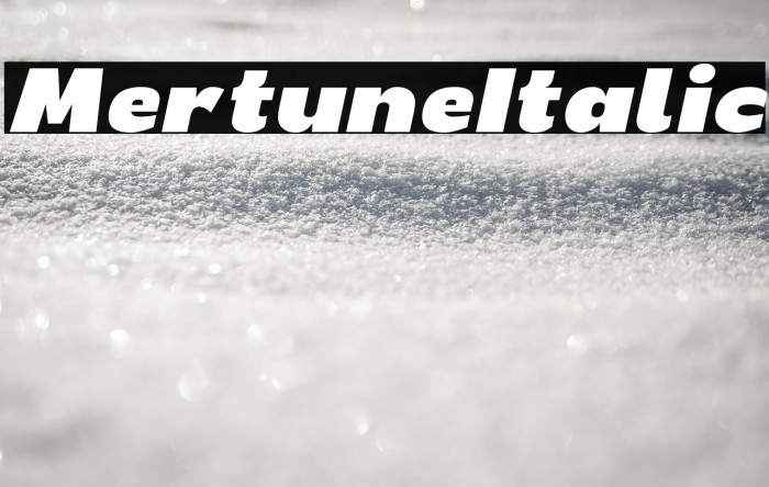 Mertune Italic Example 1