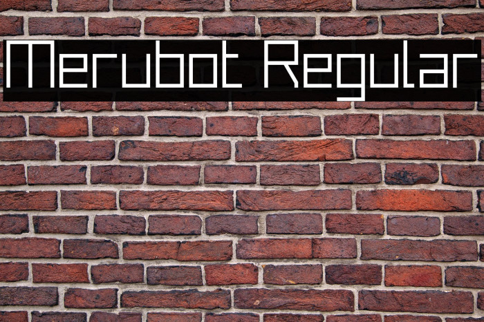 Merubot Regular Example 2