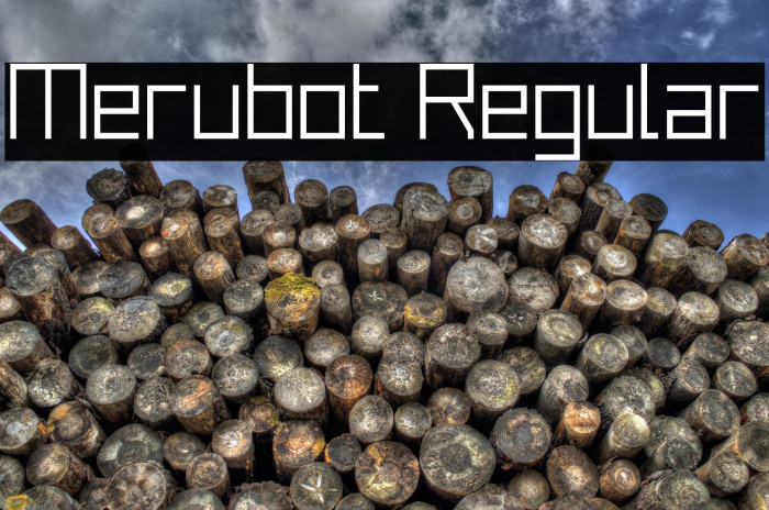 Merubot Regular Example 3