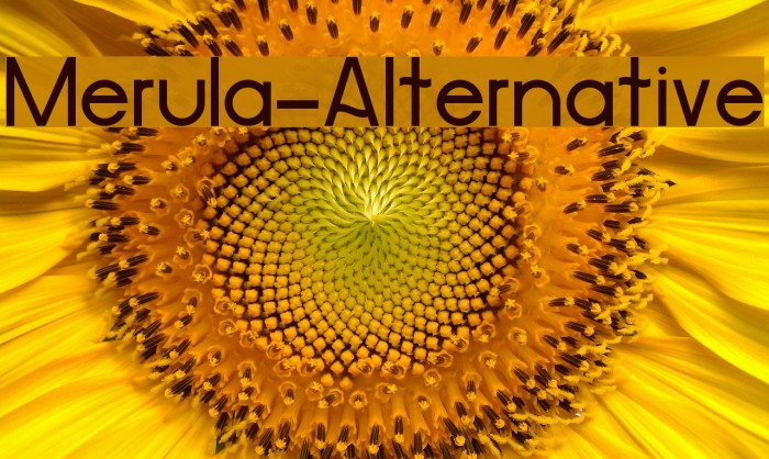 Merula-Alternative Font examples