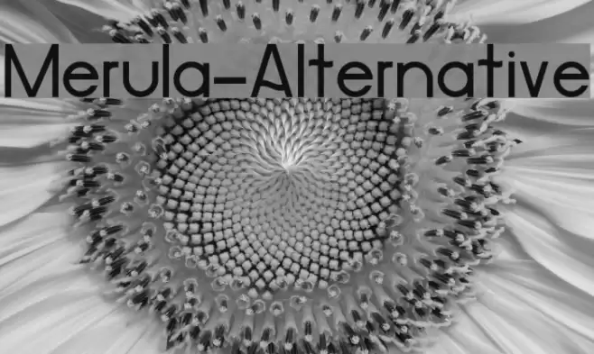 Merula-Alternative Font examples