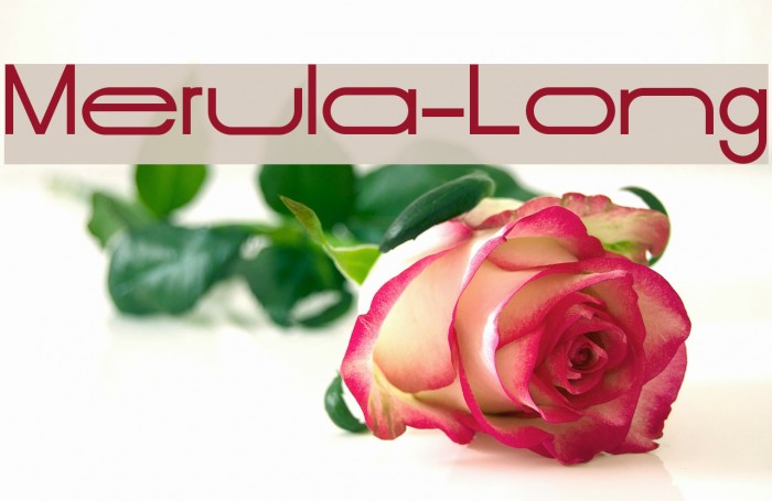 Merula-Long Font examples