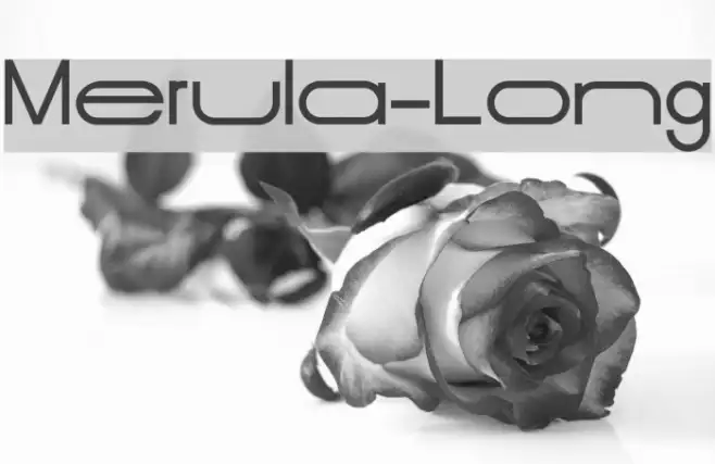 Merula-Long Example 2