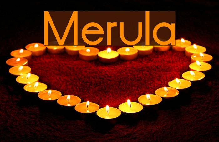 Merula Font examples