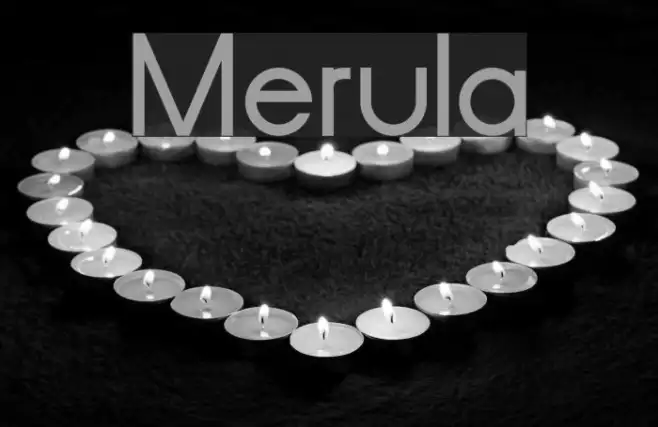 Merula Example 1
